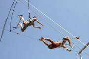 PHOTOS/BirdyCatch.JPG